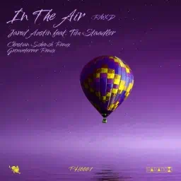 In The Air (RMXD)